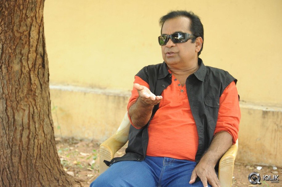 Brahmanandam-About-Alludu-Seenu-Movie